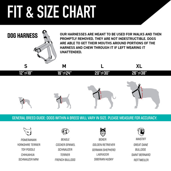 GreatEscape Dog Harness