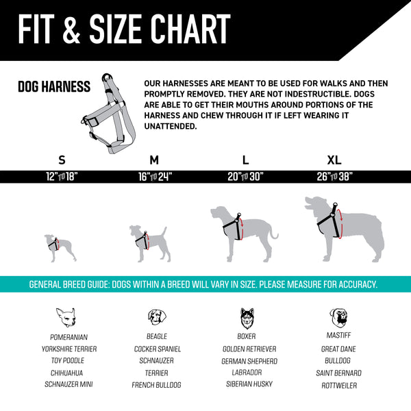WildWolf COMFORT DOG HARNESS
