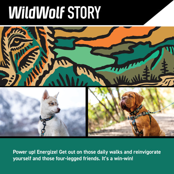 WildWolf COMFORT DOG HARNESS