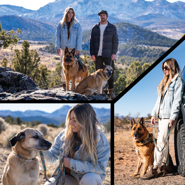 WildWolf COMFORT DOG HARNESS