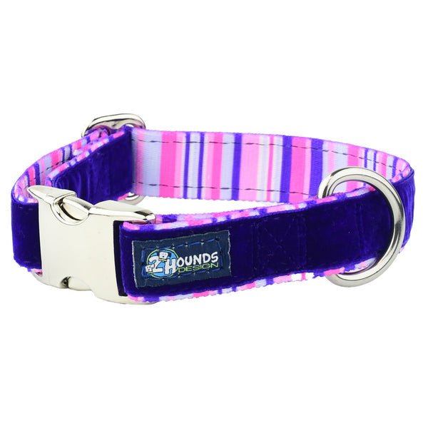 Purple Stripes Velvet Essential Dog Collar (1 Only)