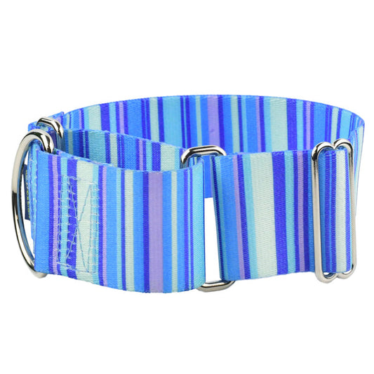 Midnight Stripes 2 Wide Martingale Dog Collar