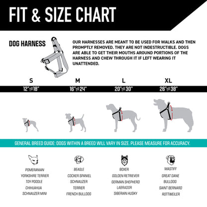 WildWolf COMFORT DOG HARNESS
