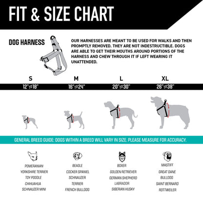Quetzal Dog Harness