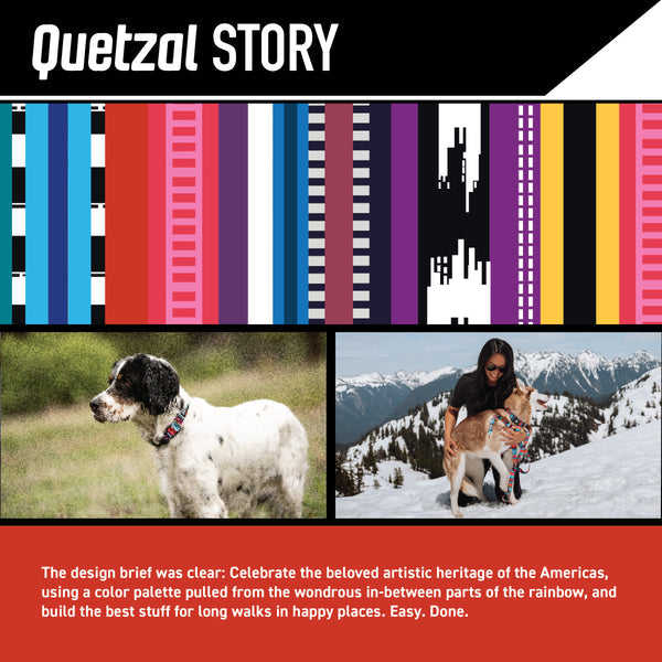 Quetzal Dog Harness
