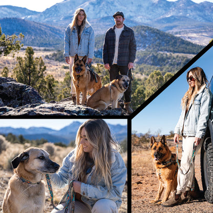 WildWolf COMFORT DOG HARNESS